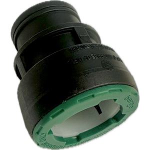 QLOK PIG PN10