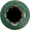 QLOK PIG PN10