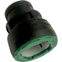 QLOK PIG PN10