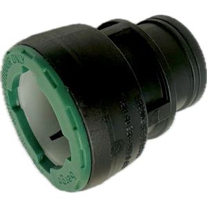 QLOK PIG PN10